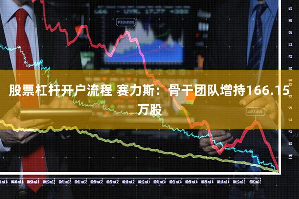 股票杠杆开户流程 赛力斯：骨干团队增持166.15万股