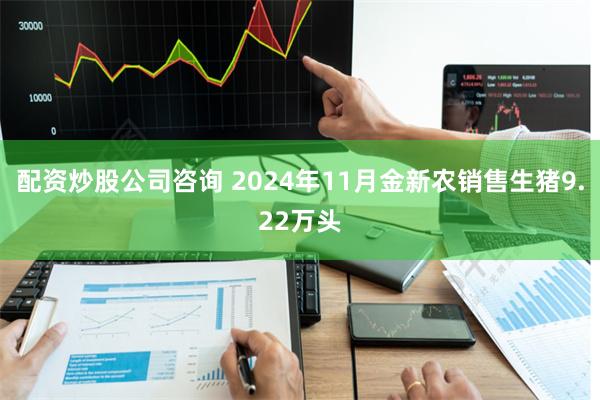 配资炒股公司咨询 2024年11月金新农销售生猪9.22万头