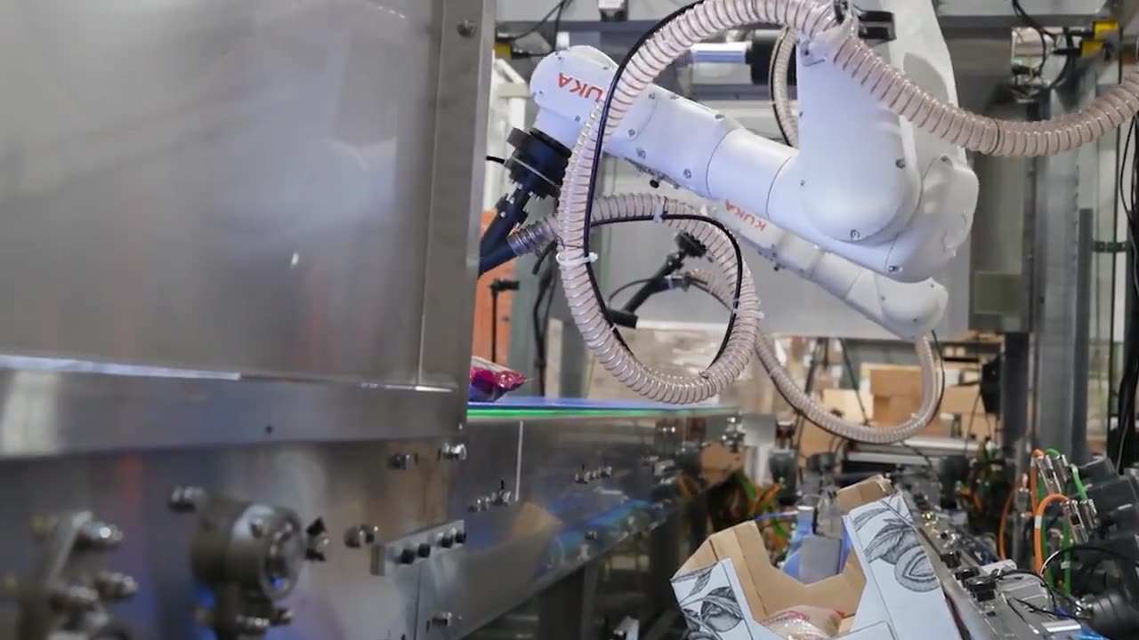 Case Packing Line in Action