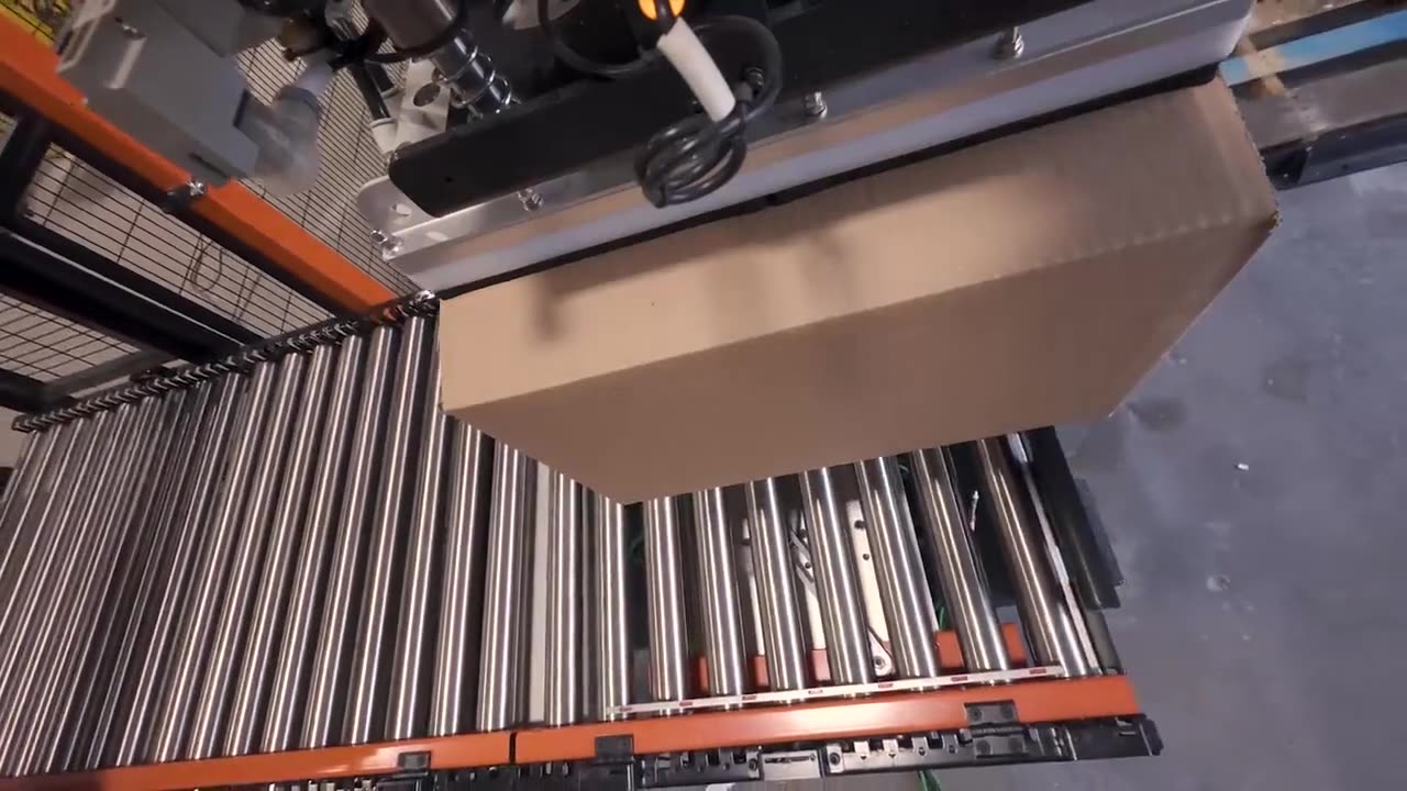 Palletizing Conveyor in Action